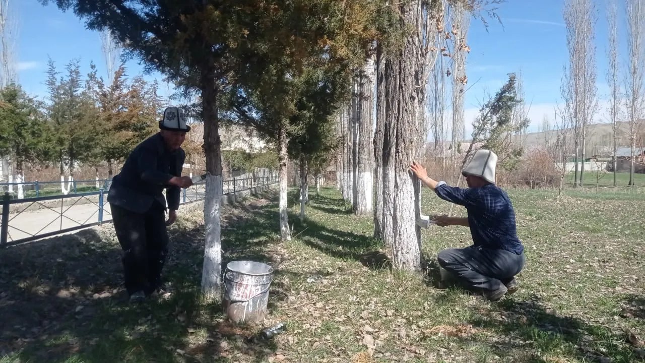 Көрктөндүрүү жана жашылдандыруунун жүрүшү боюнча