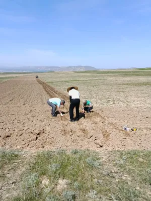 кореялык өнөктөштөр менен кызматташуу.