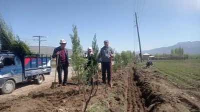 Көрктөндүрүү жана жашылдандыруу боюнча эки айлык жарыялоо